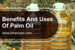 benefit-and-uses-of-palm-oil-pt-inti-trading-nusantara-2