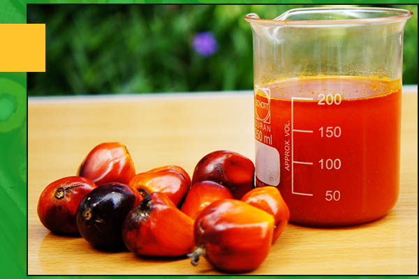 PALM ACID OIL