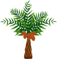 palm oil tree