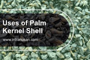 uses-of-palm-kernel-shell-pt-inti-trading-nusantara-2